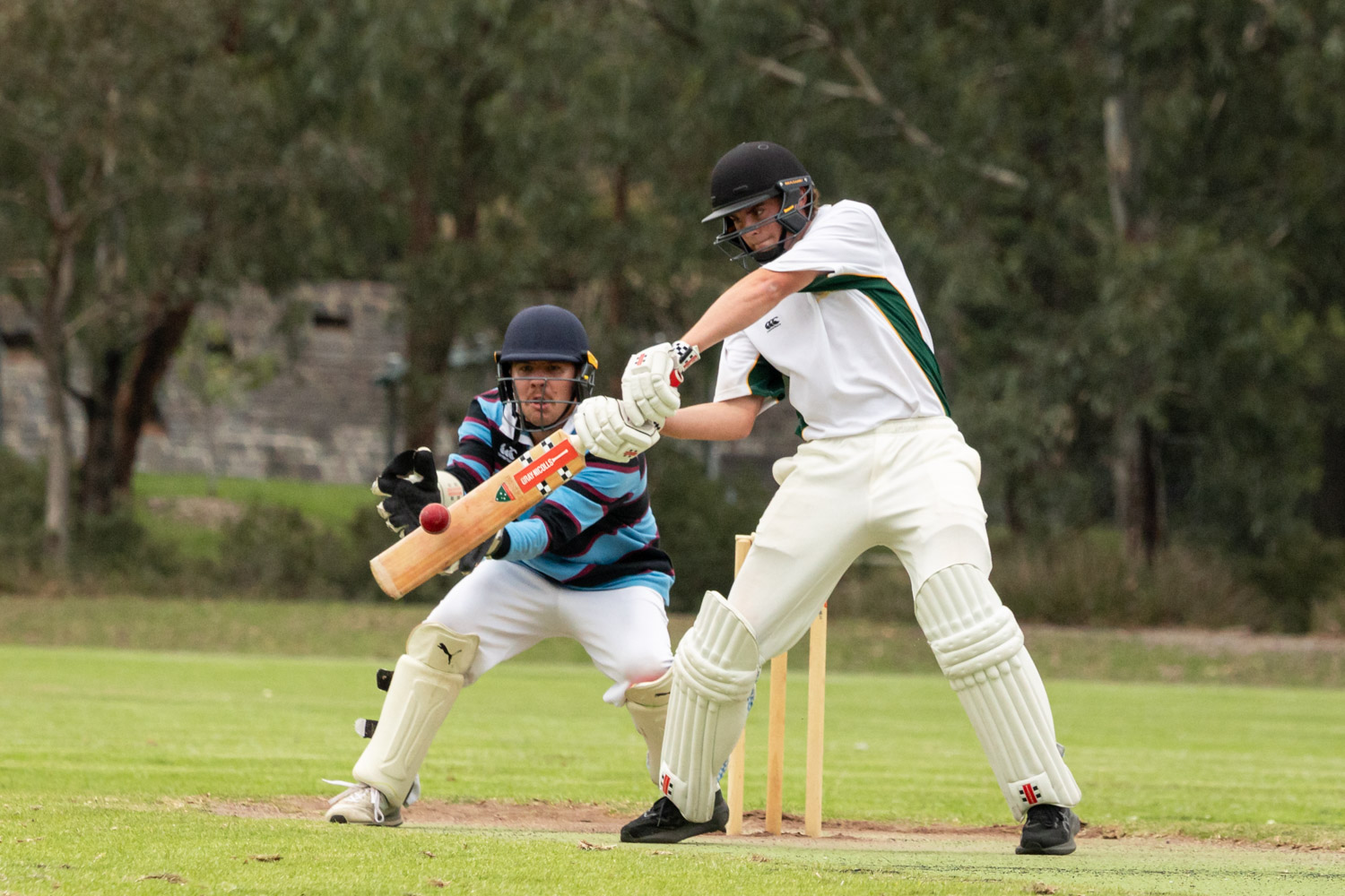 cricket2
